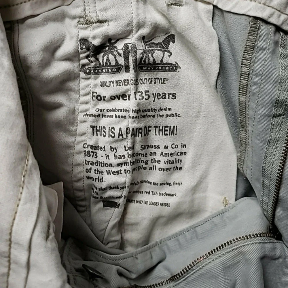 Levis levi cargo